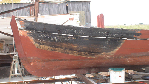dsc02226b.jpg