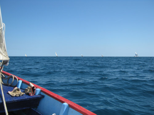img_0491b.jpg