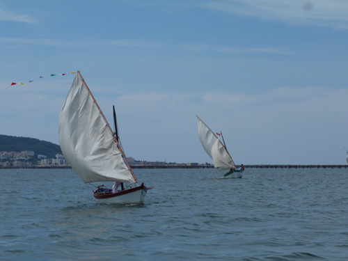 p1060364b.jpg
