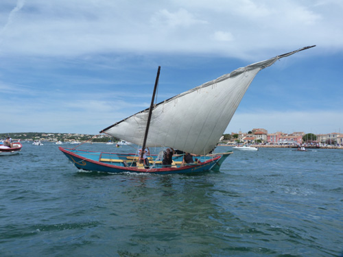 p1060388b.jpg