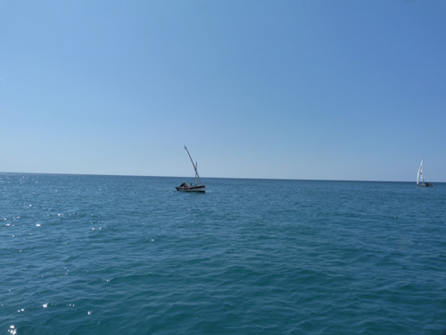 p1060642b.jpg
