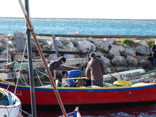 p1080324b.jpg